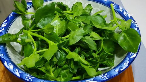 田七叶子不需要用刀切,用手摘成小朵即可,将老硬口感不好的老梗去掉不