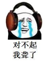 对不起,我聋了表情包 - 表情图