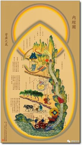 揭秘《内经图》里的修行秘密