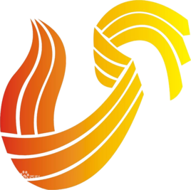 山东广播电视台