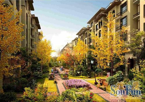 复地哥德堡森林效果图