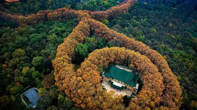 南京美龄宫图片南京建筑风景图片