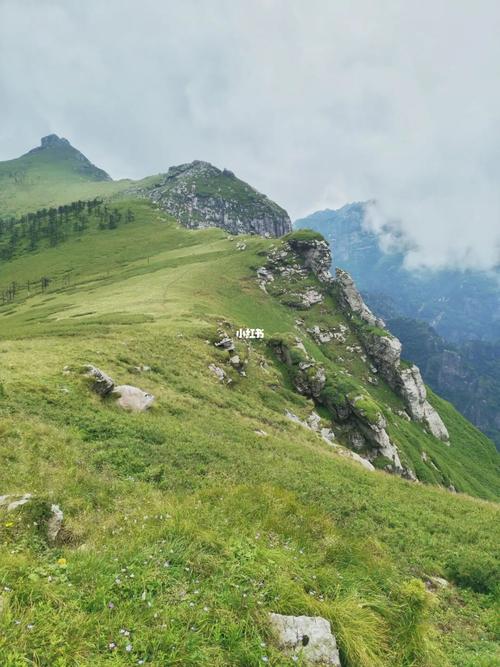 秦岭 鹿角梁 学生党登山记录_登山_学生党_光头山_户外_夏天去哪玩