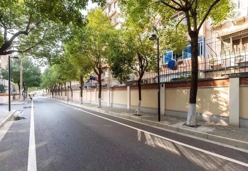 片区一体化治理让老旧小区逆龄徐汇未来更多片区环境面貌将脱胎换骨