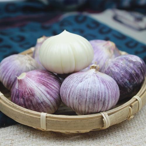 云南大理特产紫皮大蒜头 独头蒜 农家新鲜蔬菜厨房干蒜2斤包邮