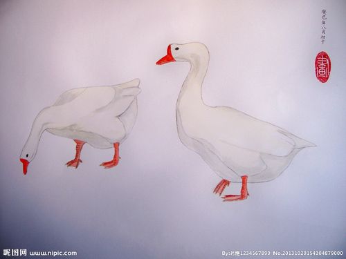 水粉画 国画 鹅设计图__绘画书法_文化艺术_设计图库