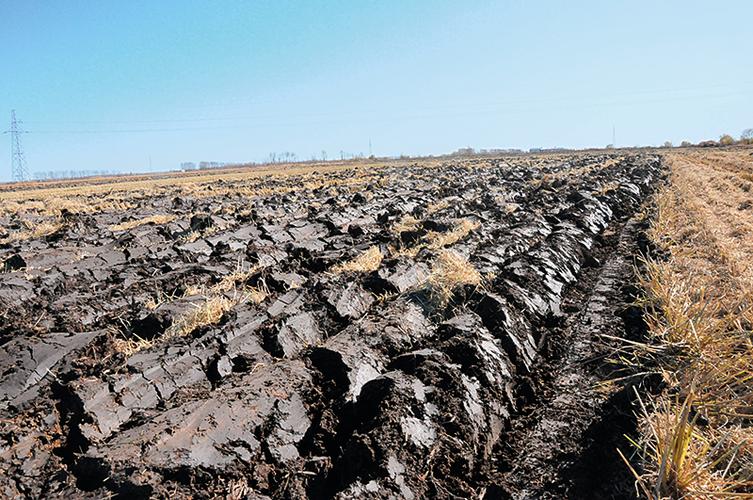 龙江模式这样保护黑土地