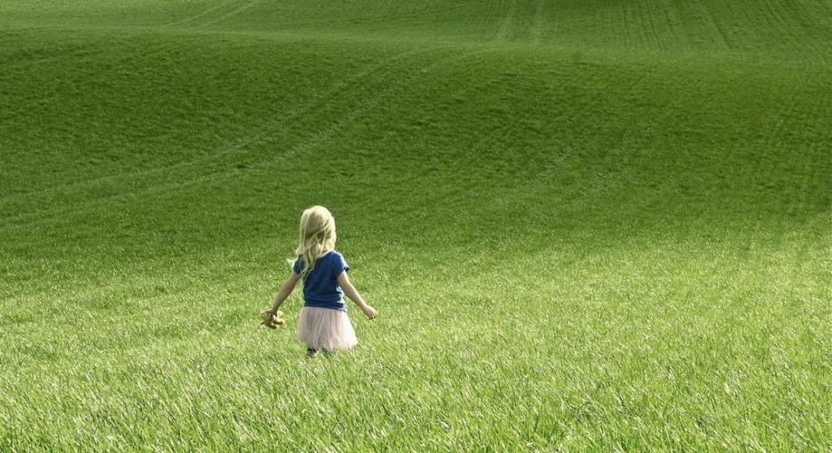 草地上的可爱小女孩背影桌面壁纸-唯美壁纸图片-靓丽