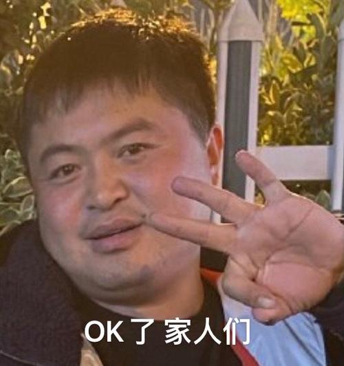 ok了家人们徒步阿龙丽丽表情包徒步丽丽阿龙ok表情