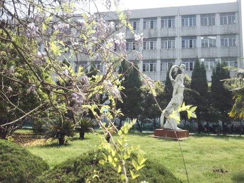 南京审计大学莫愁校区____如果你没在这学习与工作过你就不知道这有