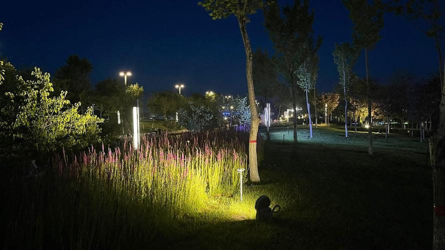 石河子的夜景