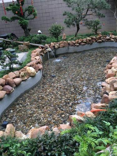 锦鲤鱼池水处理_庭院鱼池水处理