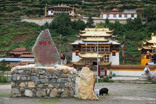 甲格寺.哈七村山脚下的已经收割完的青稞田.白龙江畔的哈七村.