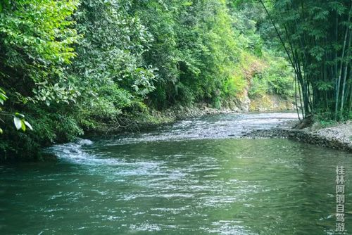 九屋溪林湾·印舍拒绝下饺子式游泳,给你一整个山谷的清凉!