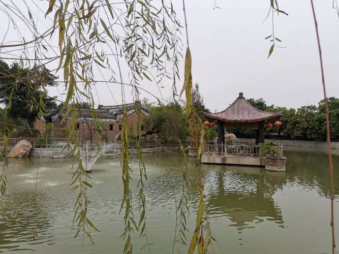 建设中的沙溪宝树园