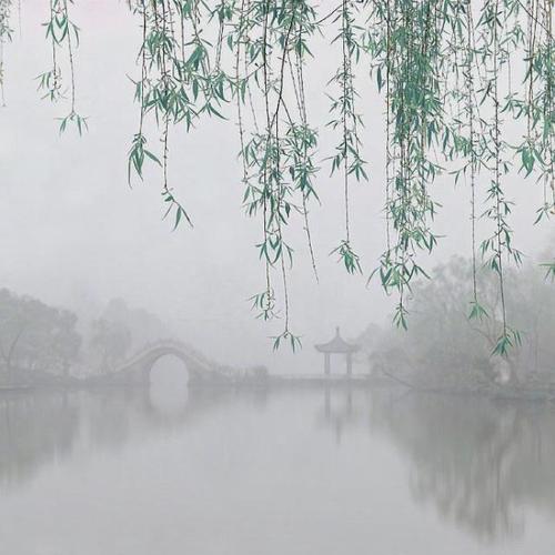 烟雨江南,诗画美景.
