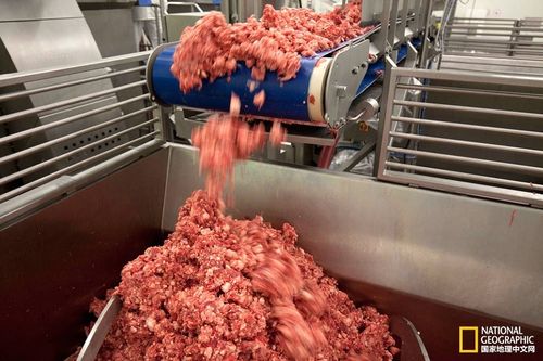 屠宰场的气味不要再错怪屠宰场了这里绝对超出你的想象