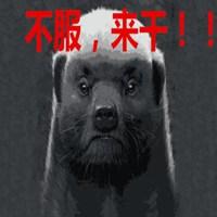 动物平头哥卡通头像_微信头像图片大全