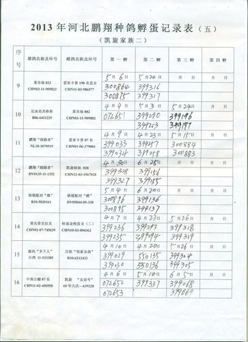 所以在"展厅新闻"栏目上传每个年度种鸽的配对记录及幼