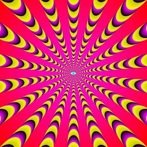 密集恐惧症患者慎入静态神奇图片欣赏