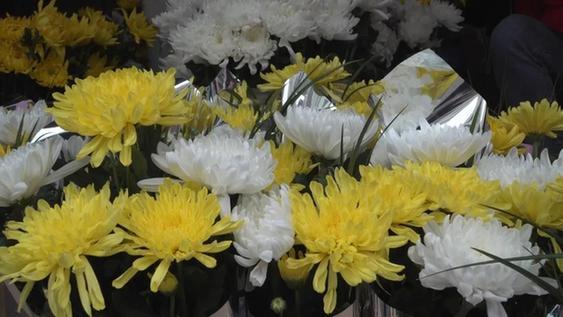 贵定:鲜花祭拜 菊花走俏 文明祭扫更"清明"