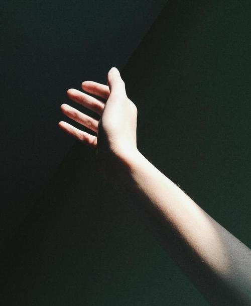 「图片素材」70幅关于手部形象的唯美图片