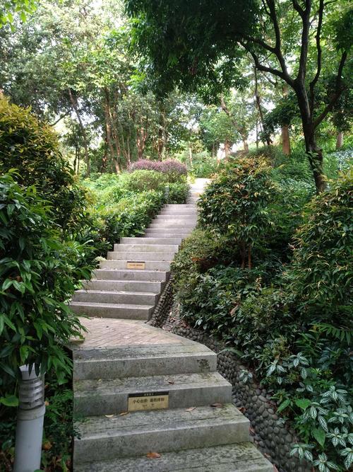 山体公园的冬天