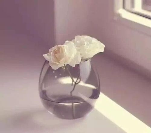 人家不在乎,何必委屈自己?