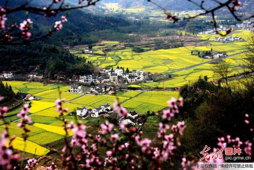 安徽:春涌皖南柯村