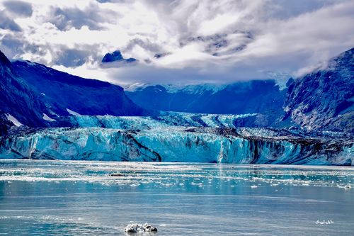 冰川湾-阿拉斯加随拍