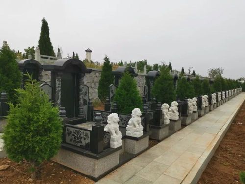 龙口新建,卧龙山公墓!