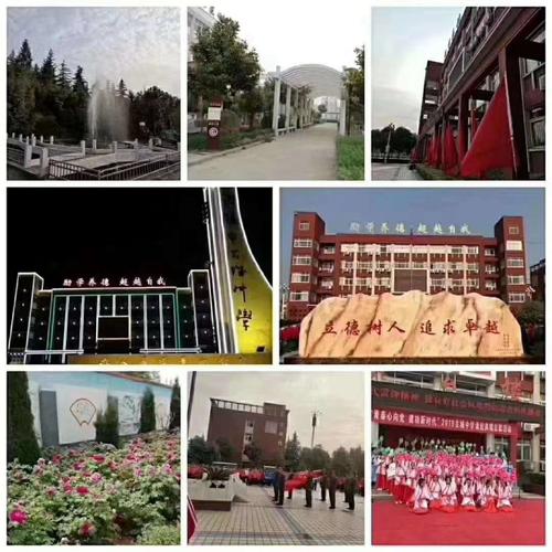 洛龙区古城中学2020中考喜报