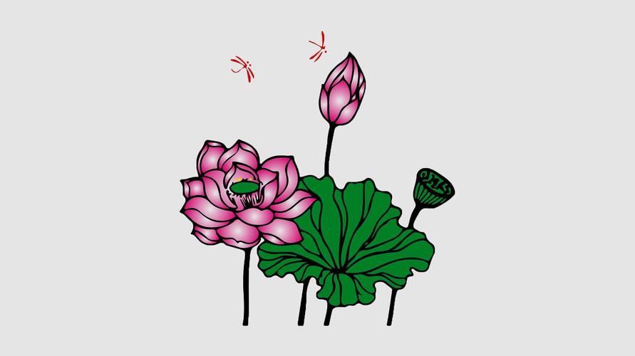 教你荷花的画法简单又漂亮4个视频