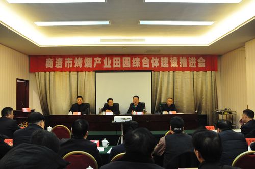 镇安县人民政府副县长王庆水致辞.