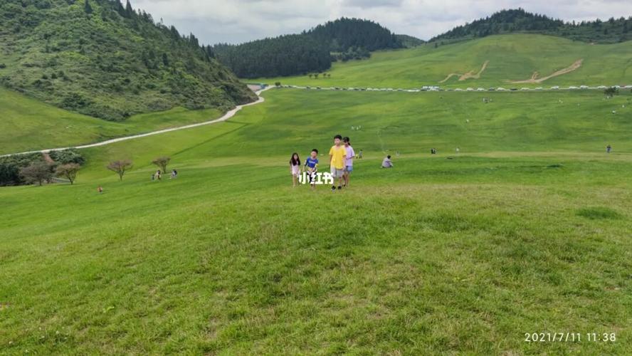 自驾旅行重庆酉阳菖蒲盖大草原