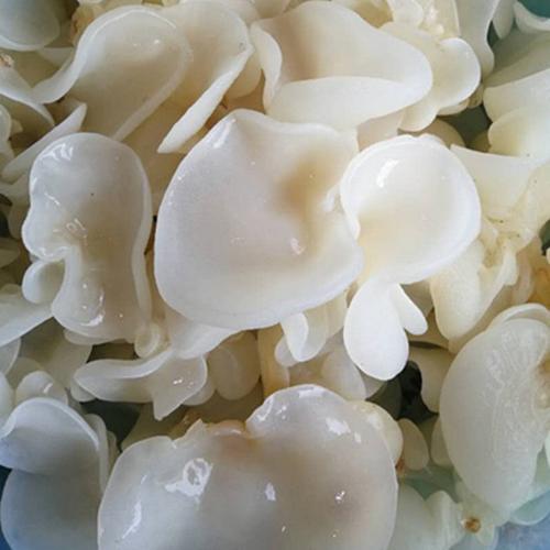 包邮买五斤送半斤 500g 白竹菇 竹子菇 竹菇干货竹耳菌菇 农家竹耳