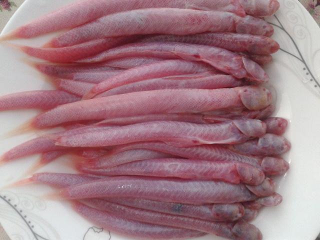 请问这是什么鱼?