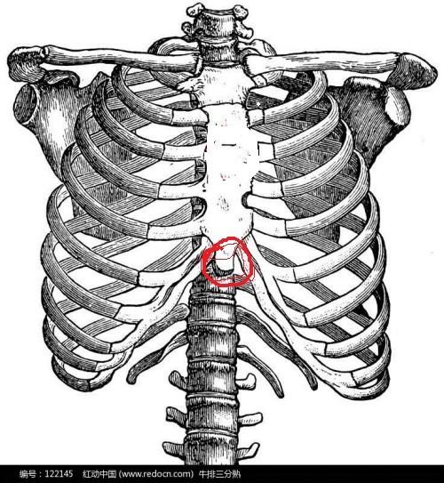 胸口中间那个突起骨头一按就疼不按没事.请问这是怎么