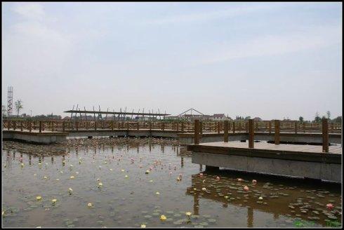 初探海安"七星湖公园"兼谈其建设风格的错位问题