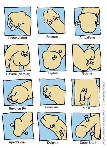 人体哪些部位可以穿孔佩戴首饰