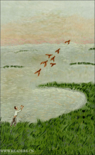 读青铜葵花有感