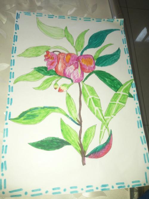 我与我的凤仙花