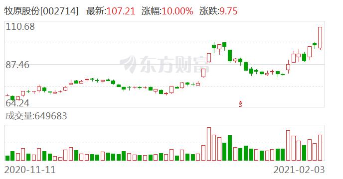 牧原股份涨停 市值突破4000亿元|封单_新浪财经_新浪网