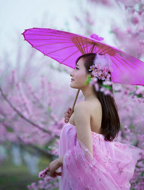 梦入桃花源