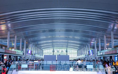 第一次来重庆西站坐火车,跟着网上流传的机位拍了拍照片