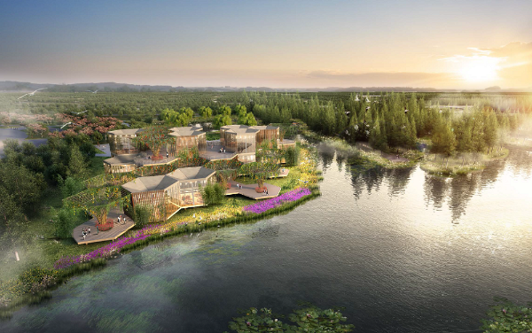 花开中国梦,世界生态岛——"故乡与花"主题诗词征稿启事