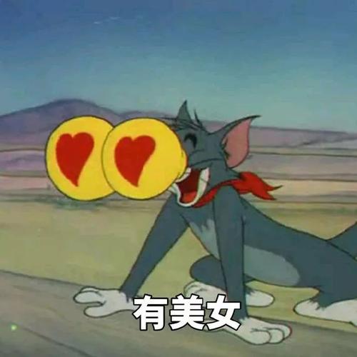 猫和老鼠 - 堆糖,美图壁纸兴趣社区