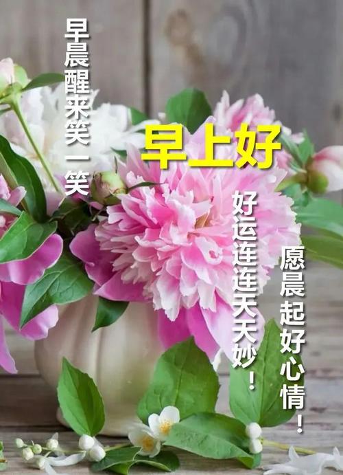 8月15日清晨漂亮的问候动画祝福图片 周五最新早上好