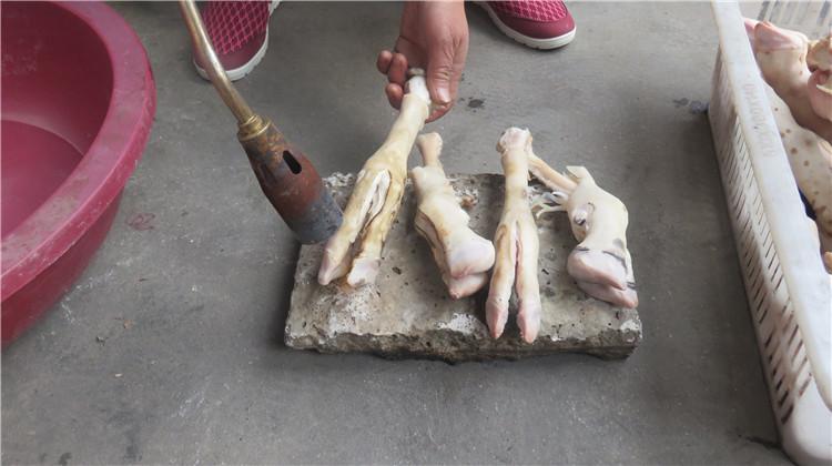 羊蹄新鲜羊肉冷冻生羊蹄子免运费 新鲜羊脚爪带蹄筋农家散养4斤_7折