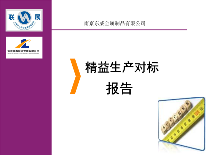 对标报告(latest).ppt